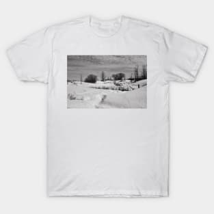 Peace and Quiet T-Shirt